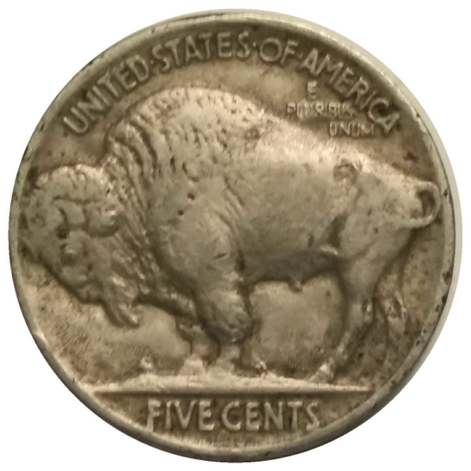 1919-5c-Buffalo-Nickel